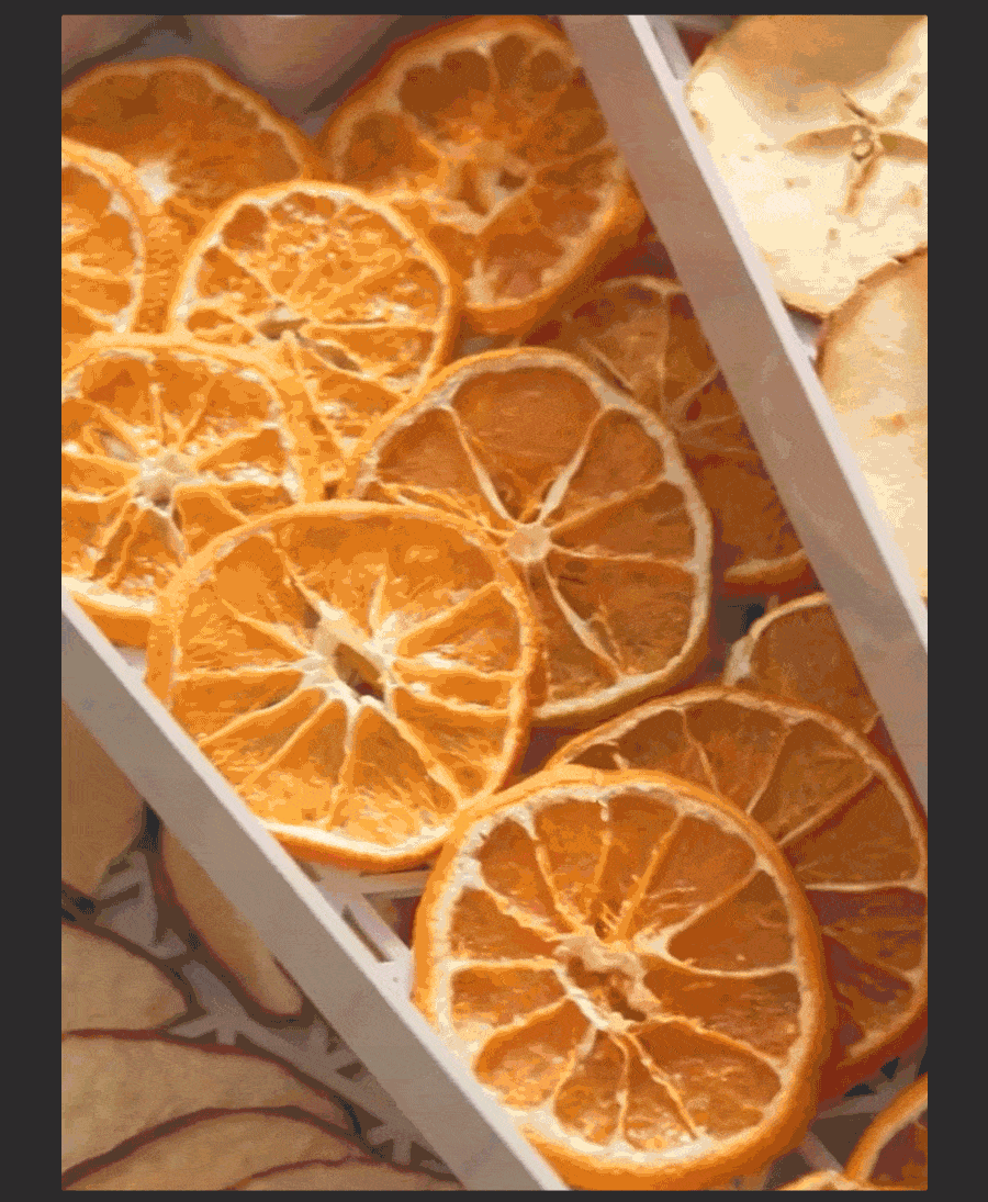 리큅 대용량 8단 식품건조기 고추 야채 농산물 과일 LD-918BH