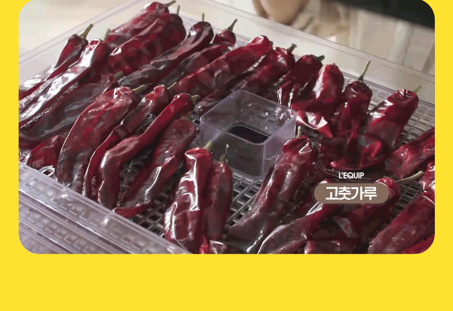 리큅 대용량 8단 식품건조기 고추 야채 농산물 과일 LD-918BH